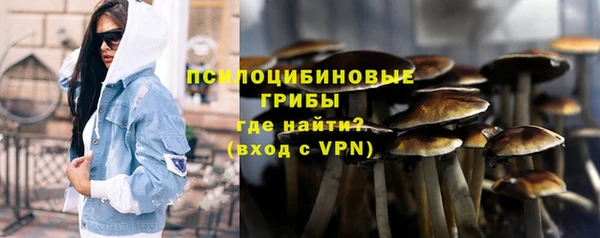 индика Балашиха