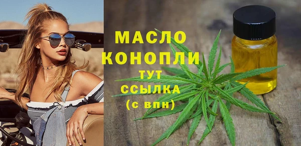 гидра Коряжма