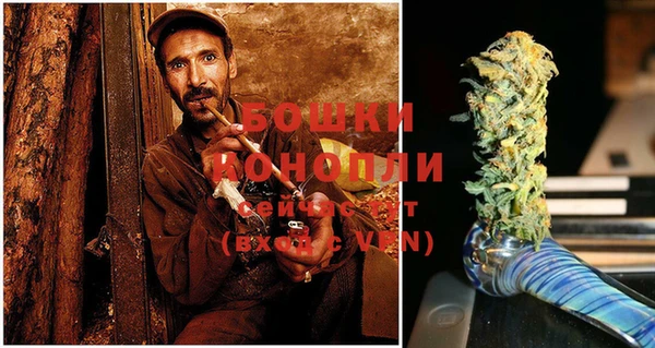 гидра Коряжма